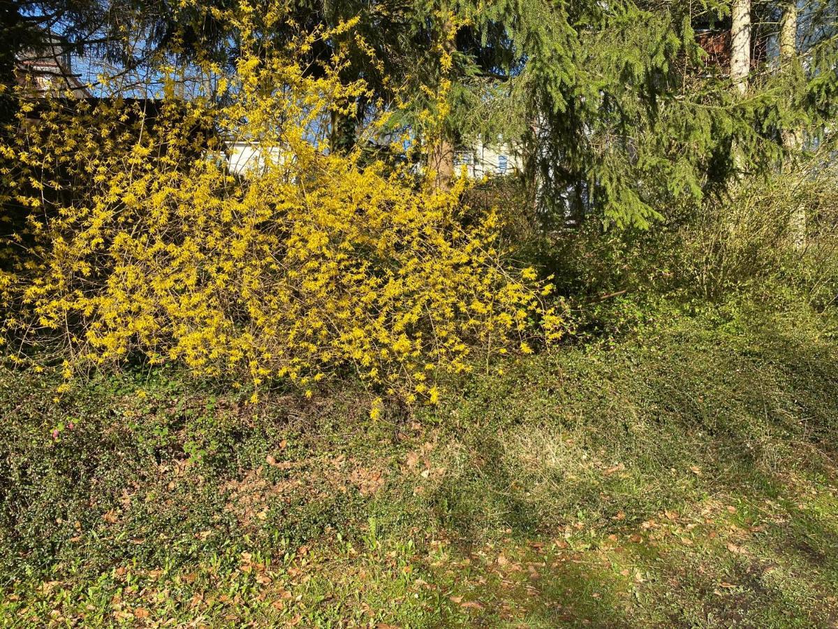 Ferienwohnung Sternenhimmel Lichtenberg  Extérieur photo